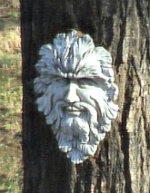 GreenMansm